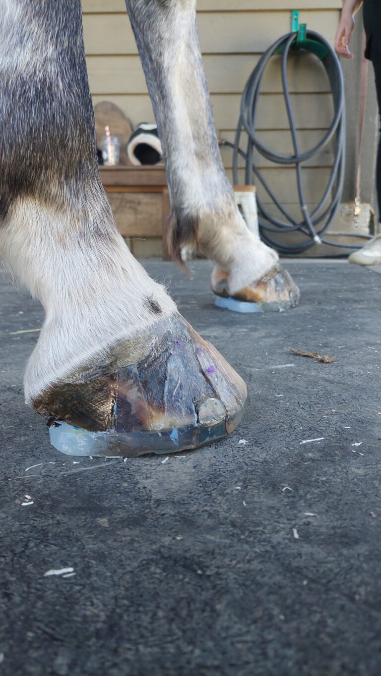 Composite and Glue-on shoes